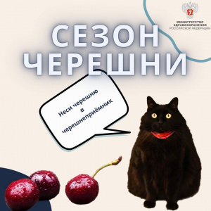 Вопрос, который мы все задаем себе каждое лето: можно ли съесть слишком много черешни?