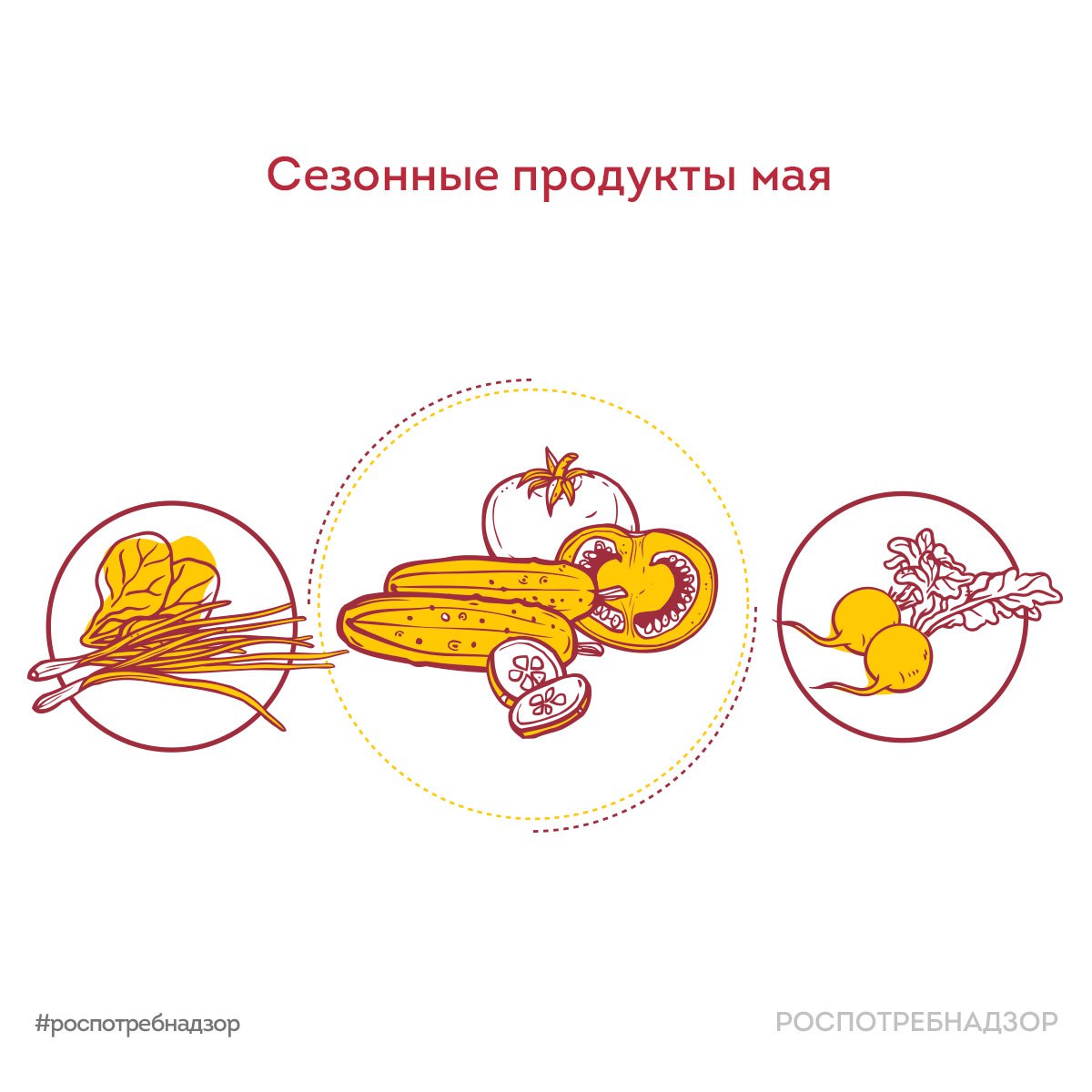 Сезонные продукты мая Сезонные продукты мая