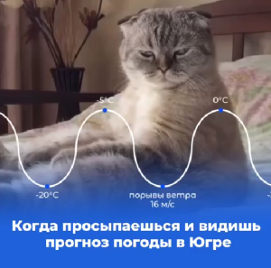 Когда просыпаешься и видишь прогноз погоды в Югре