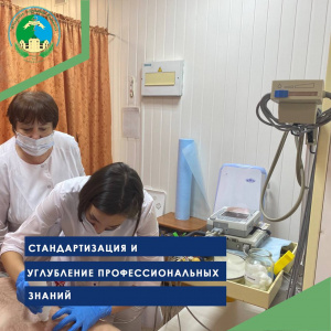 Стандартизация и углубление профессиональных знаний