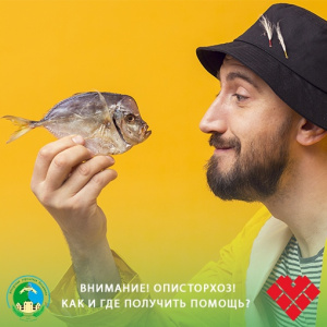Внимание! Описторхоз! Как и где получить помощь?