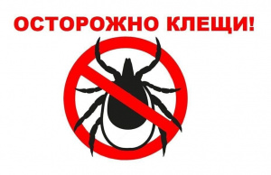 Осторожно! Они просыпаются!