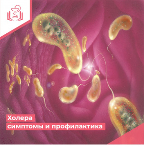 Холера симптомы и профилактика