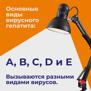 Основные виды вирусного гепатитна