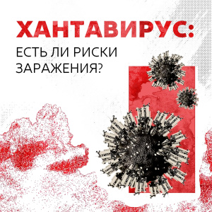 Хантавирус