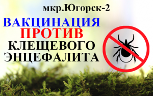Вакцинация против клещевого энцефалита в мкр.Югорск-2. 16 апреля 2022г.