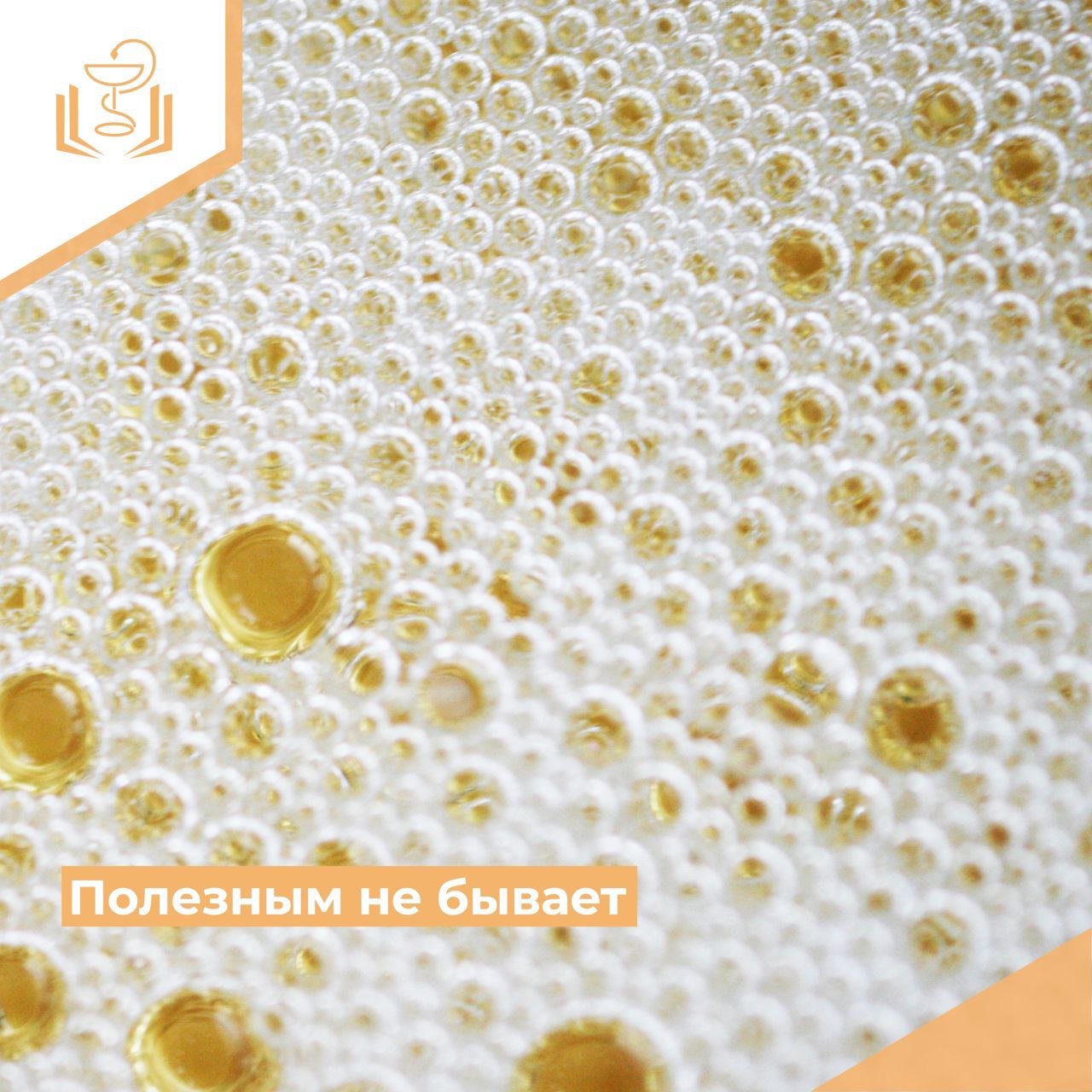 Полезным не бывает Полезным не бывает