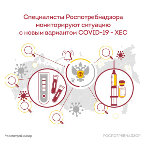 Специалисты Роспотребнадзора мониторируют ситуацию с новым вариантом COVID-19 - XEC