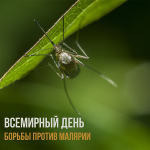 Вcемирный день борьбы с малярии