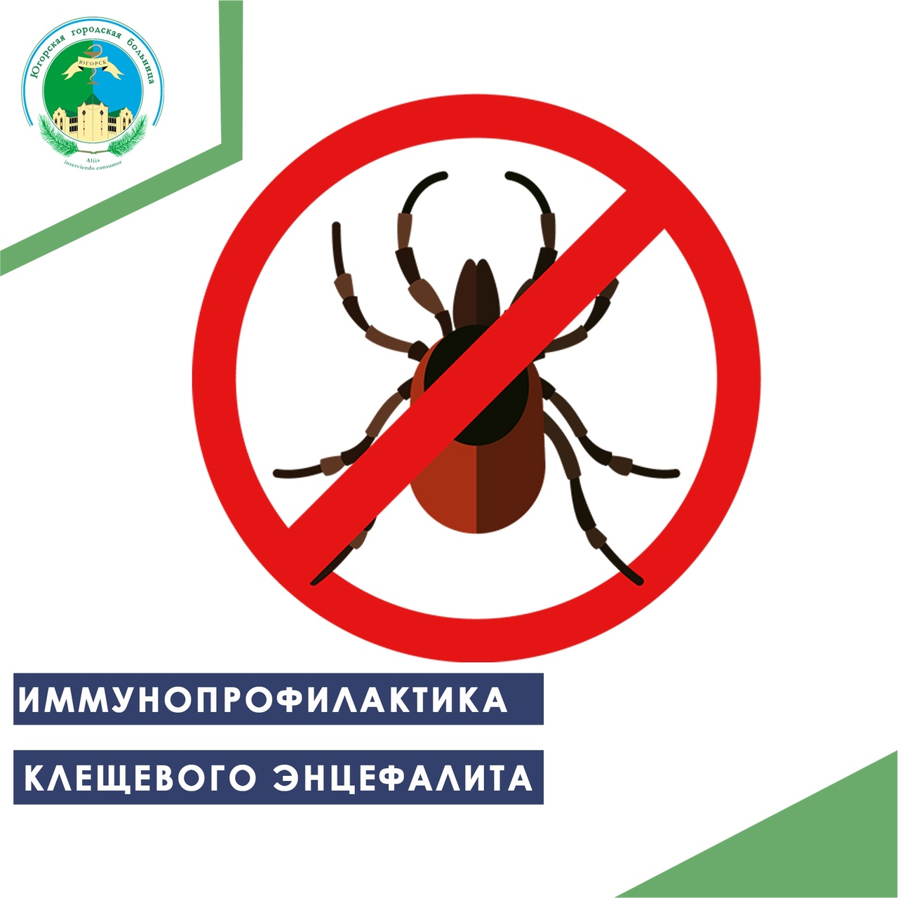 Иммунопрофилактика клещевого энцефалита Иммунопрофилактика клещевого энцефалита