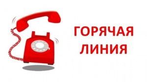 Горячая линия