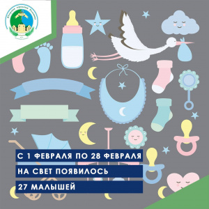 С 1 февраля по 28 февраля на свет появилось 27 малышей