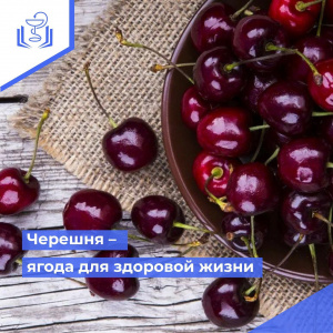 Черешня - ягода для здоровой жизни