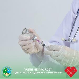 ГРИПП НЕ ПРОЙДЕТ! где и когда сделать прививку?