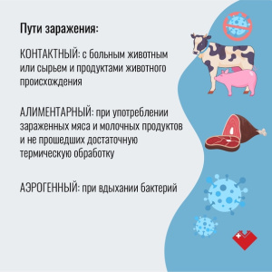 Бруцеллез