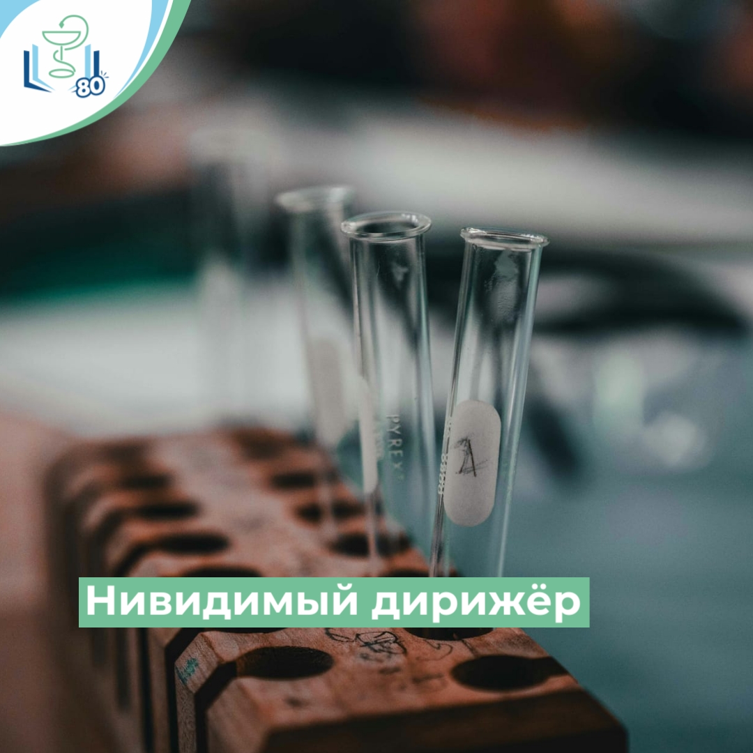 Невидимый дирижёр Невидимый дирижёр