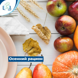 Осенний рацион