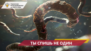 Ты спишь не один