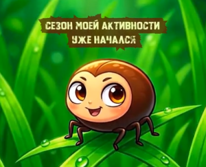 Сезон активности клещей открыта