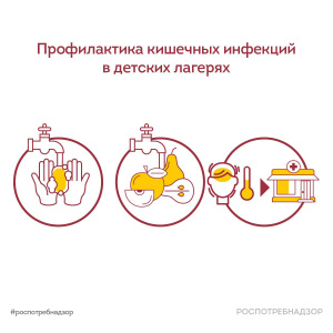 Профилактика кишечных инфекций в детских лагерях