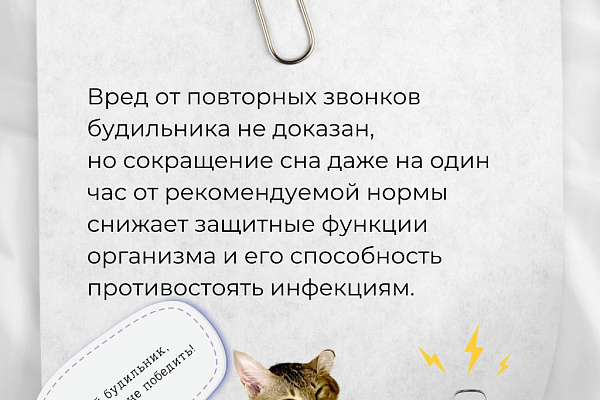 Правила сна