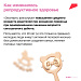 Инвестиции в здоровье: чтобы рождались дети