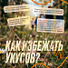 Твоя безопасность на природе