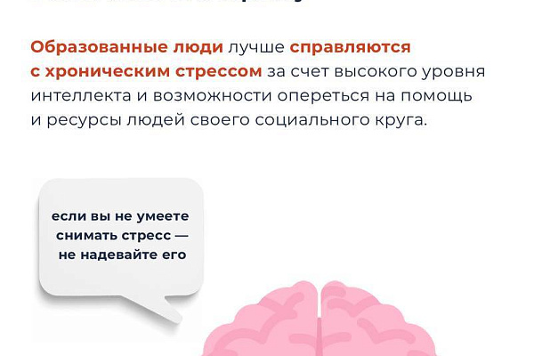 Как работа влияет на мозг