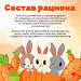 Ключевые факторы здоровья ребёнка