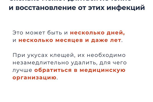 Укус клеща и его последствия