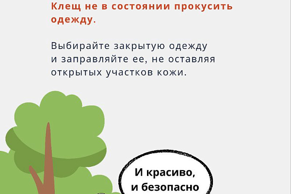 Как избежать укуса клеща