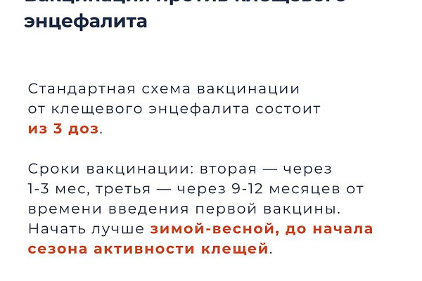Укус клеща и его последствия