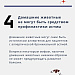 Что вызывает астму