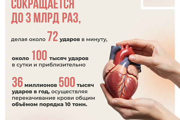11 августа отмечается Международный день здорового сердца