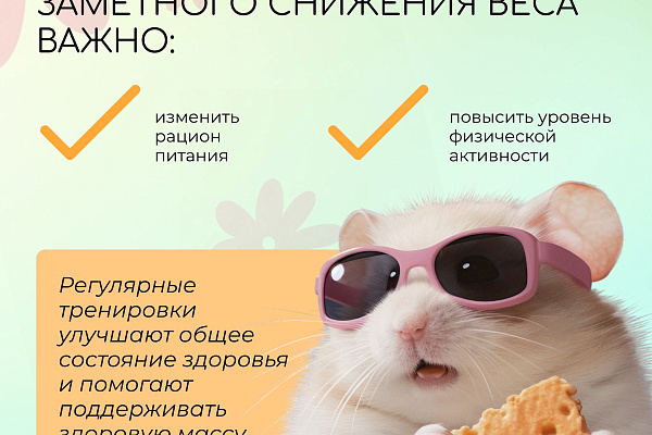 Польза физических нагрузок