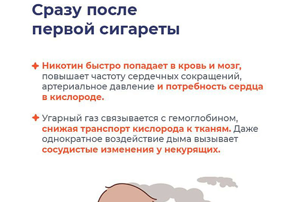 Как курение отнимает жизнь