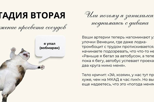 Стадии принятия гиперхолестеринемии