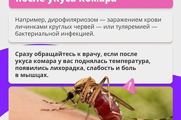 Укусы комаров: что нужно знать