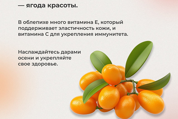 Полезный выбор ягод