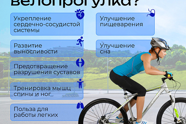 Чем полезна велопрогулка?