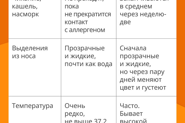 Не просто насморк: как выявить и лечить аллергию