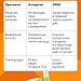 Не просто насморк: как выявить и лечить аллергию