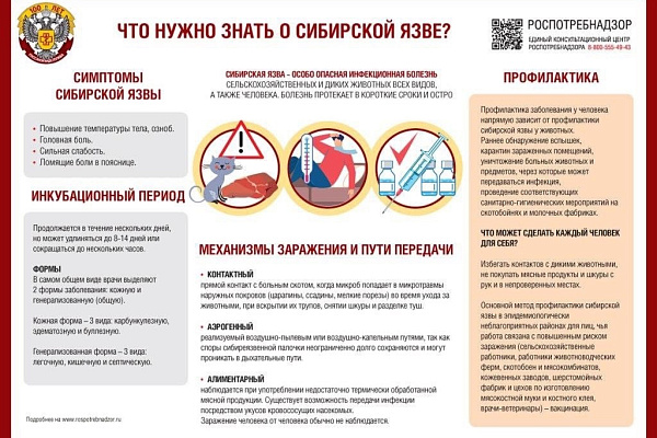 Сибирская язва