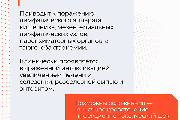 Вакцинация спасла больше жизней, чем любое другое медицинское вмешательство