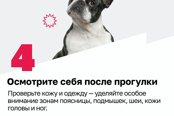 Внимание: сезон клещей начался!
