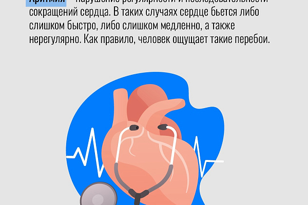 Сердечно-сосудистые заболевания справедливо считают одной из главных проблем современности