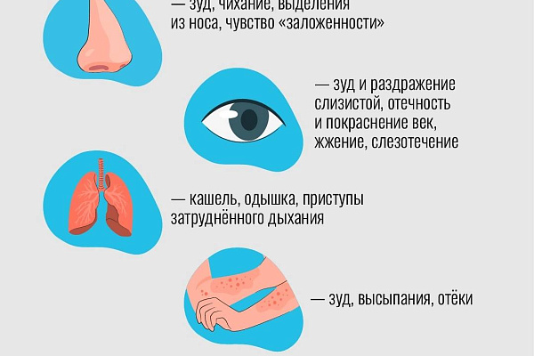 Симптомы сезонной аллергии