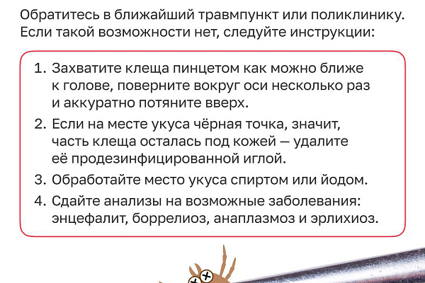 Как избавиться от клещей
