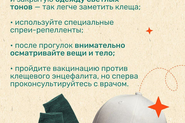 Сезон клещей: как обезопасить себя в путешествии