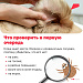 Как избавиться от клещей